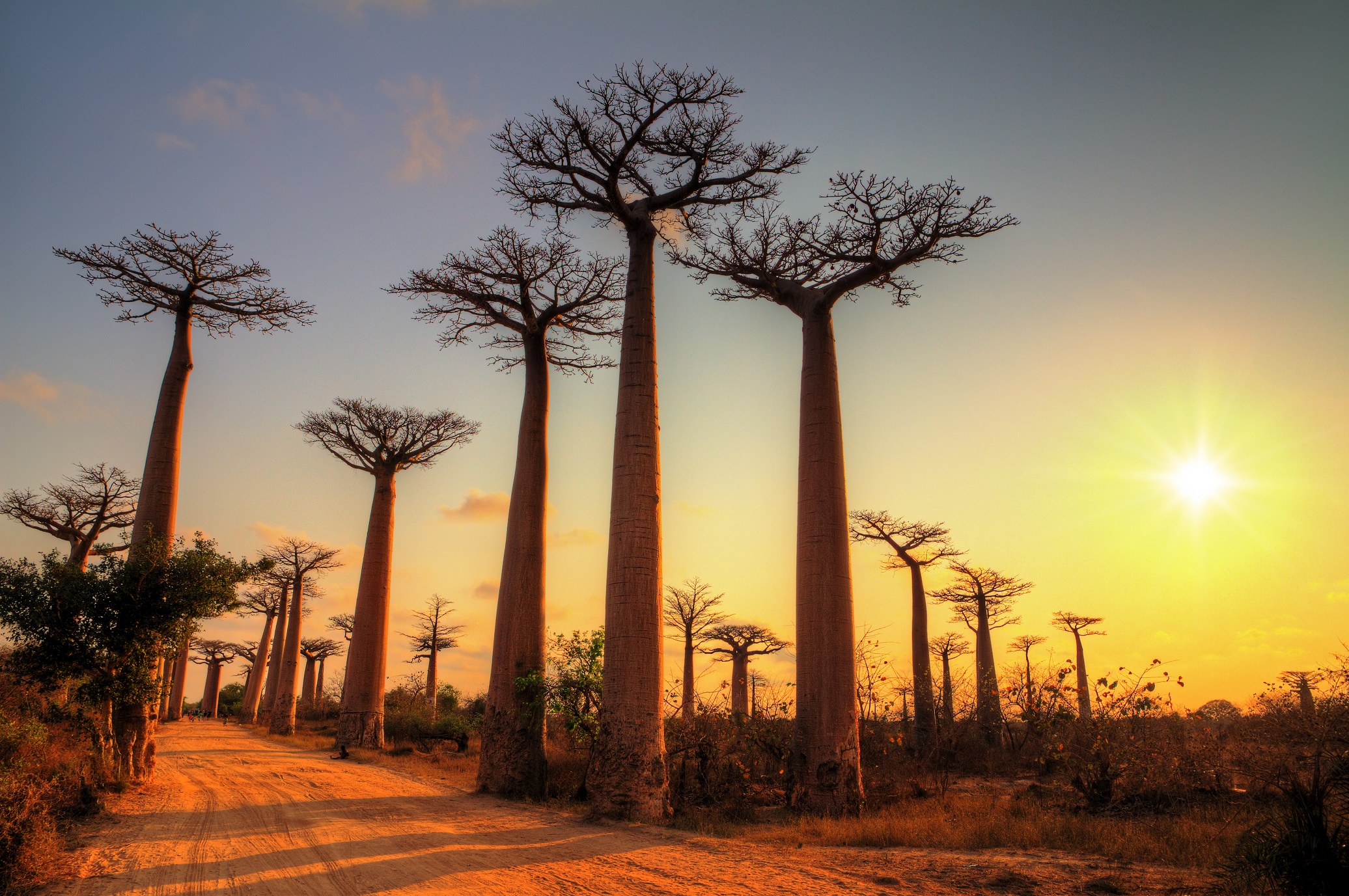 Why We're Mad About Madagascar Out2Africa
